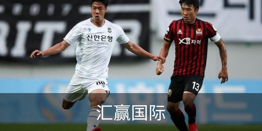 汇赢国际介绍